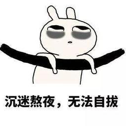吃瓜熬夜照片大全,解锁深夜生活新姿势照片大盘点