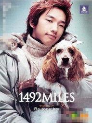 明星与宠物的图片,明星与爱宠的温馨瞬间