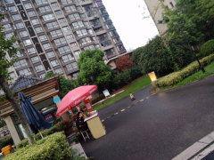 网红测评江阴城区租房